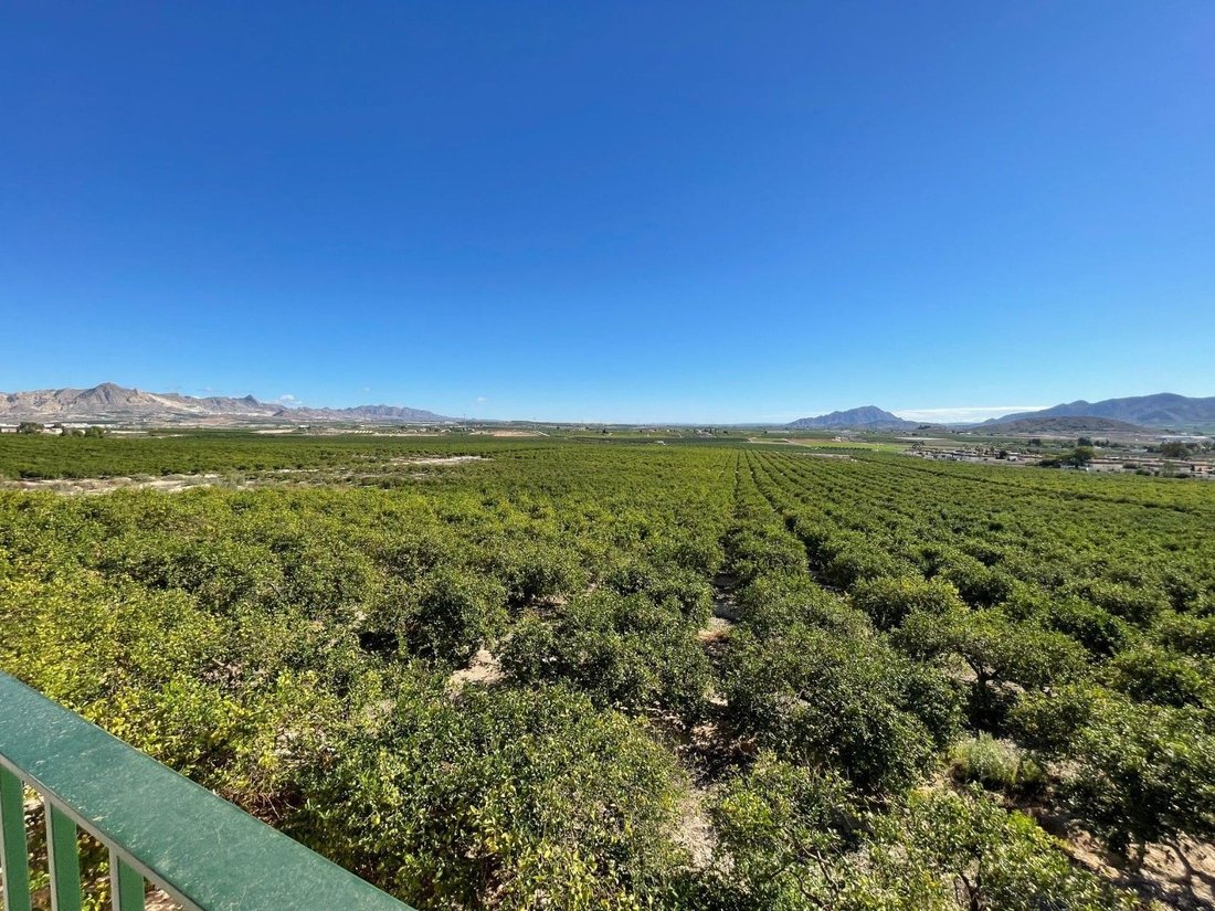 Villa in Rincon de Seca, Murcia, Spain 3 - 16643808