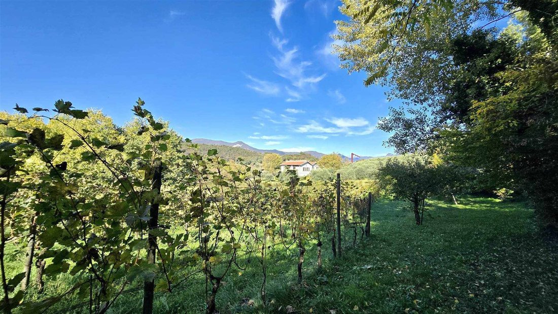 Raffa, Lombardy, Italy 2 - 16645169