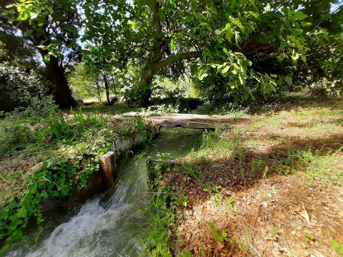 Country House in Mouriès, Provence-Alpes-Côte d'Azur, France 5 - 16628871