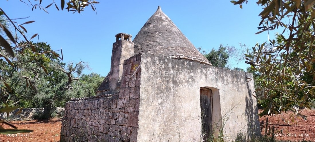 Landhaus in Ceglie Messapica, Apulien, Italien 3 - 16631413