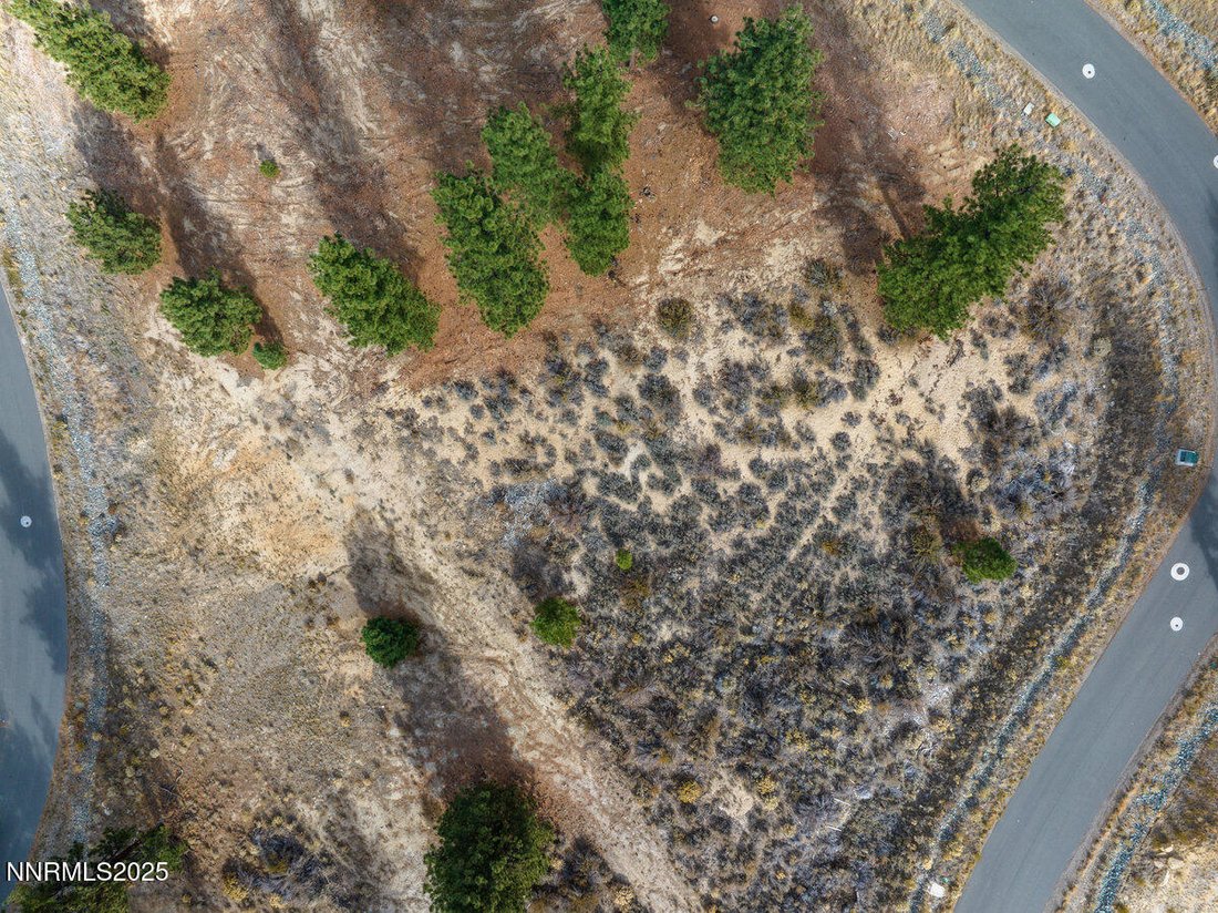 Land in Genoa, Nevada, United States 3 - 16640758