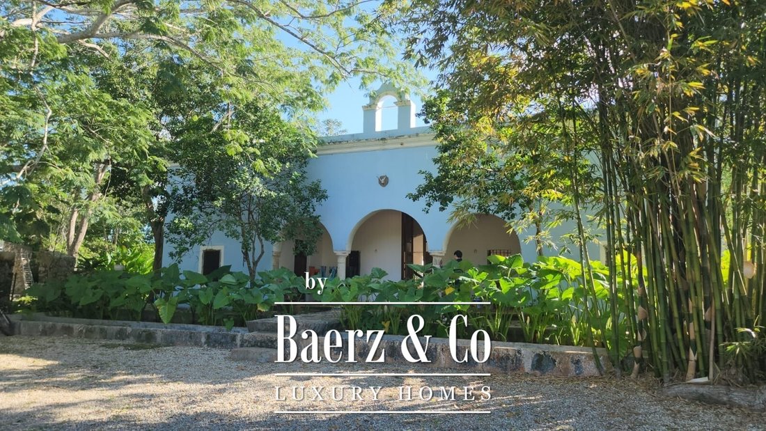 Estate in Cuzamá, Yucatan, Mexico 1 - 15450824
