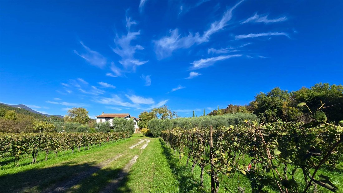 Raffa, Lombardy, Italy 1 - 16645169