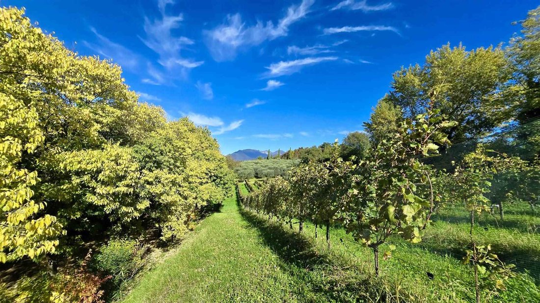 Raffa, Lombardy, Italy 4 - 16645169
