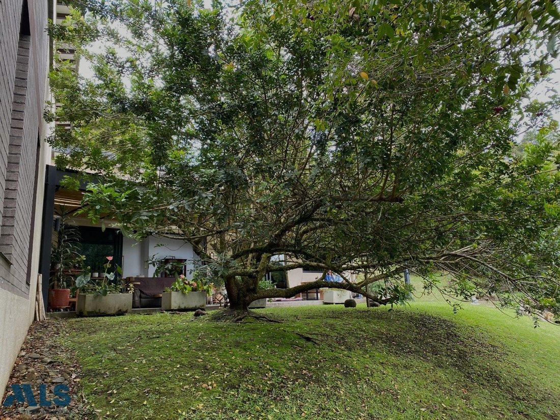 Finca in El Carmen, Carmen de Viboral, Colombia 4 - 16644310