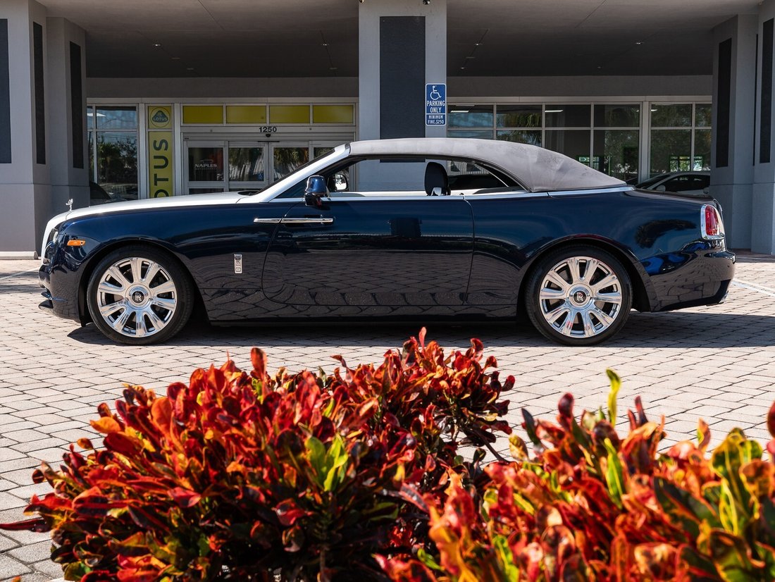 Cabriolet in Naples, FL 3 - 16602720