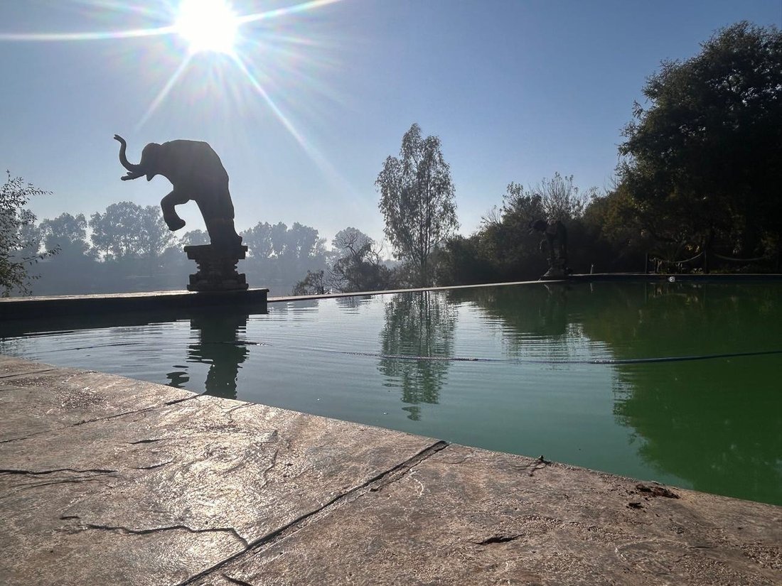 Estate in Parys, Free State, South Africa 3 - 16628825