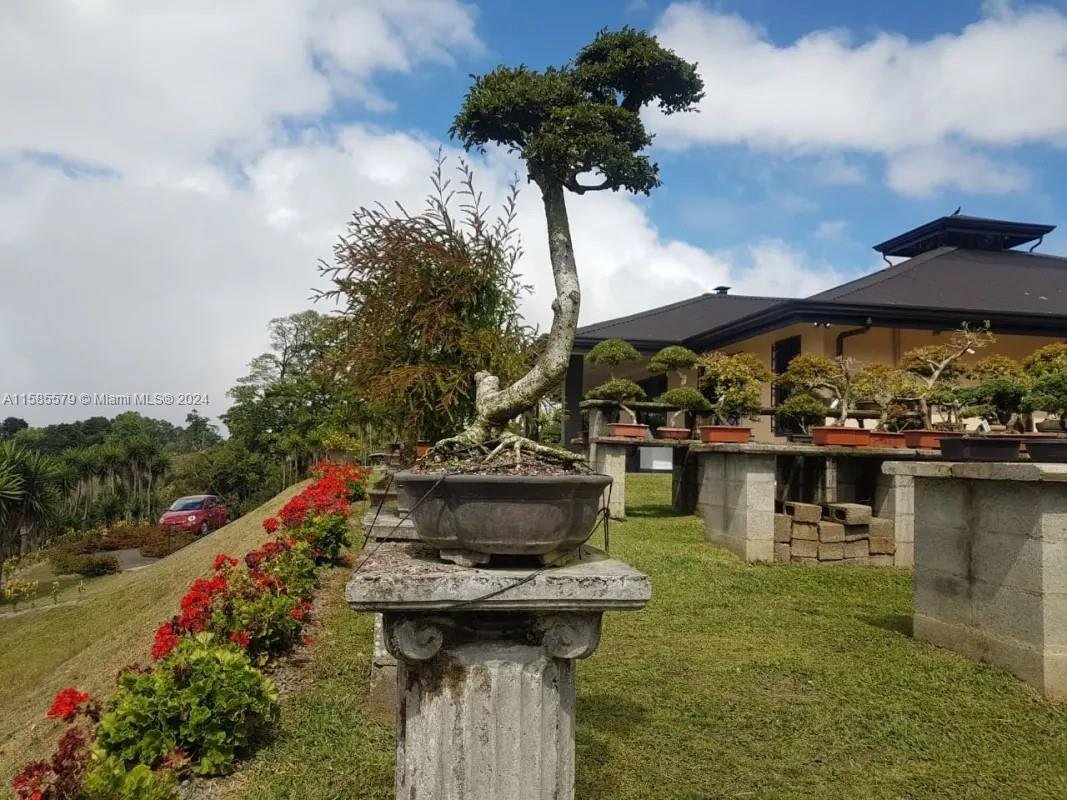 House in Alfaro Ruiz, Alajuela Province, Costa Rica 3 - 16638880