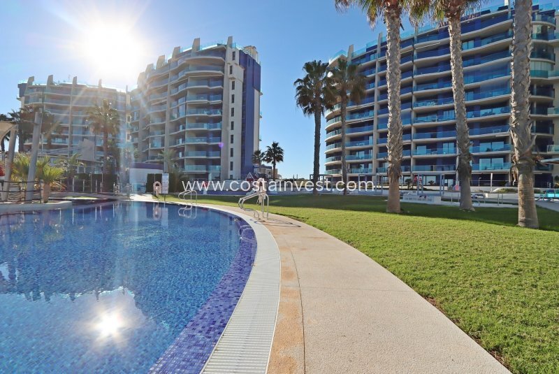 Penthouse in Torrevieja, Valencian Community, Spain 2 - 16630070