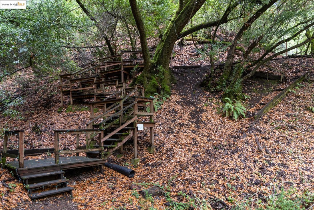 House in Canyon, California, United States 3 - 16636786