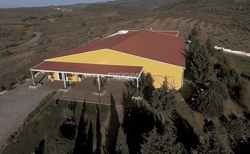 Cedofeita, Santo Ildefonso, Se, Miragaia, Sao Nicolau e Vitoria, Porto District, Portugal 1