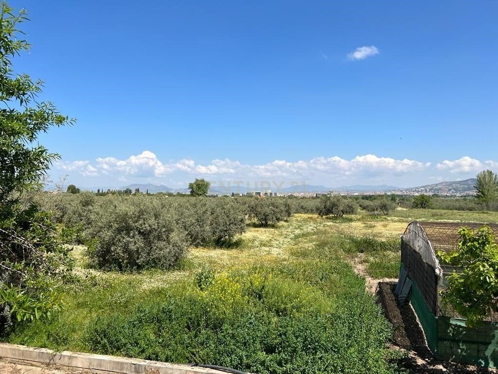 Land in La Zubia, Andalusia, Spain 3 - 13501494