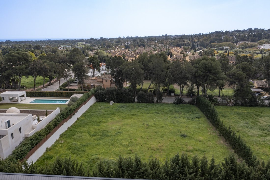 Land in Sotogrande, San Roque, Andalusia 1 - 16641427