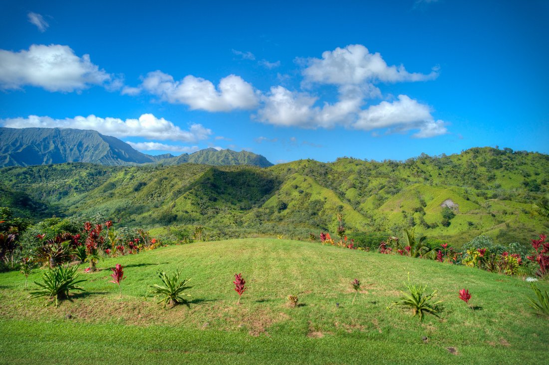 Land in Kilauea, Hawaii, United States 3 - 16643976