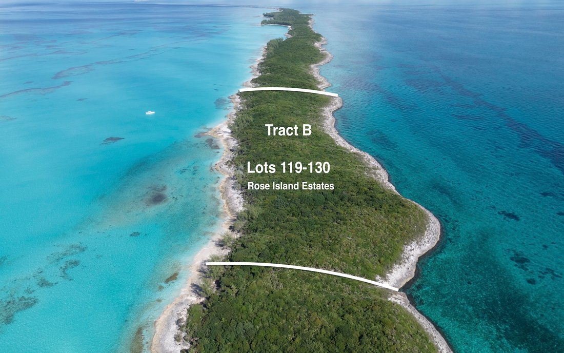Land in Eastern Rose Island, Bahamas 1 - 16631766