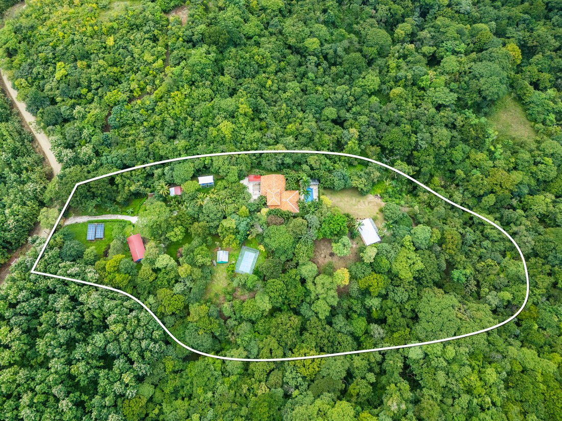 Image showcasing Off Grid LIving » Off Grid Grandpa