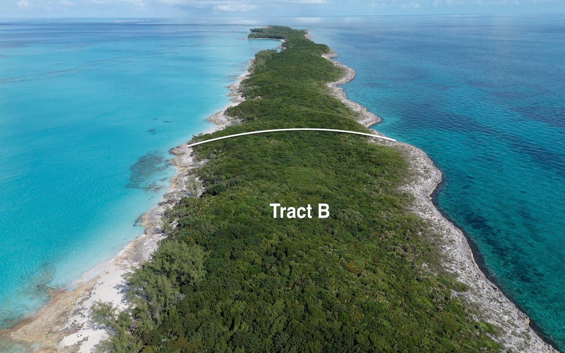 Land in Eastern Rose Island, Bahamas 2 - 16631766