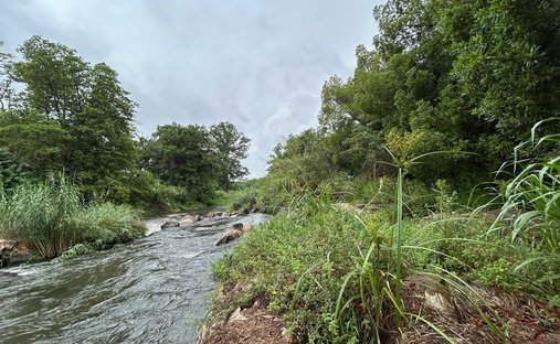 Farm Ranch in Tzaneen, Limpopo, South Africa 1