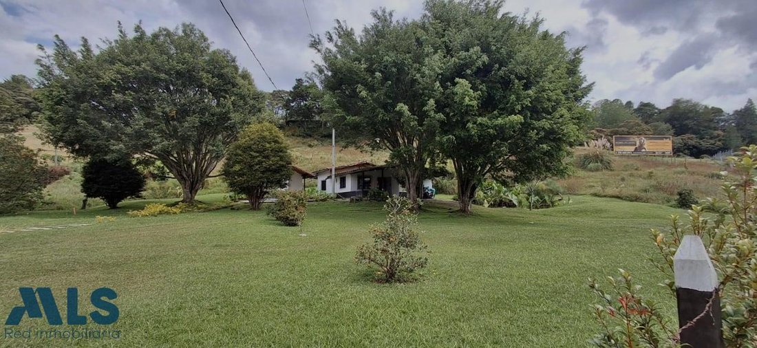 Land in Don Diego, Antioquia, Colombia 4 - 16647443