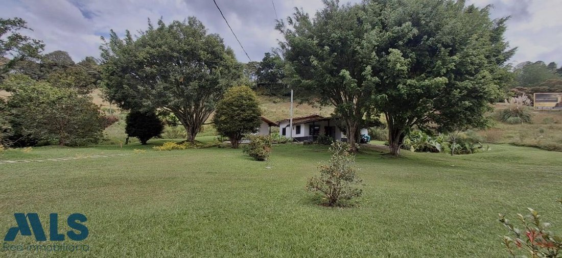 Land in Don Diego, Antioquia, Colombia 3 - 16647443