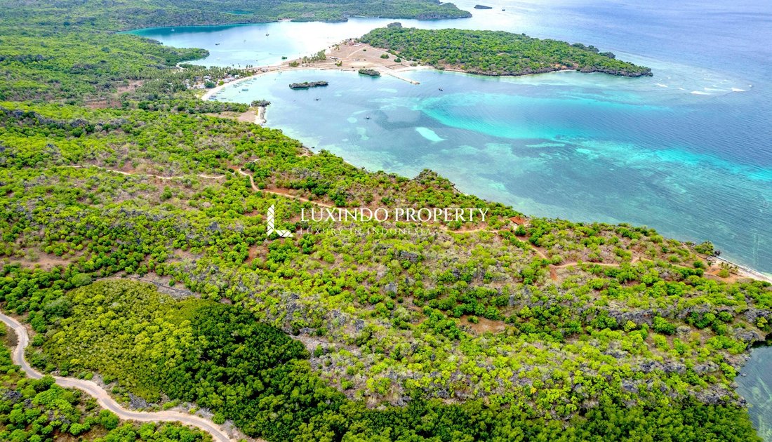 Land in pantai oeseli, East Nusa Tenggara, Indonesia 4 - 16635392