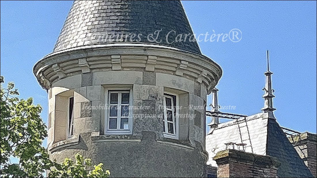 Estate in Chantonnay, Pays de la Loire, France 4 - 16628232