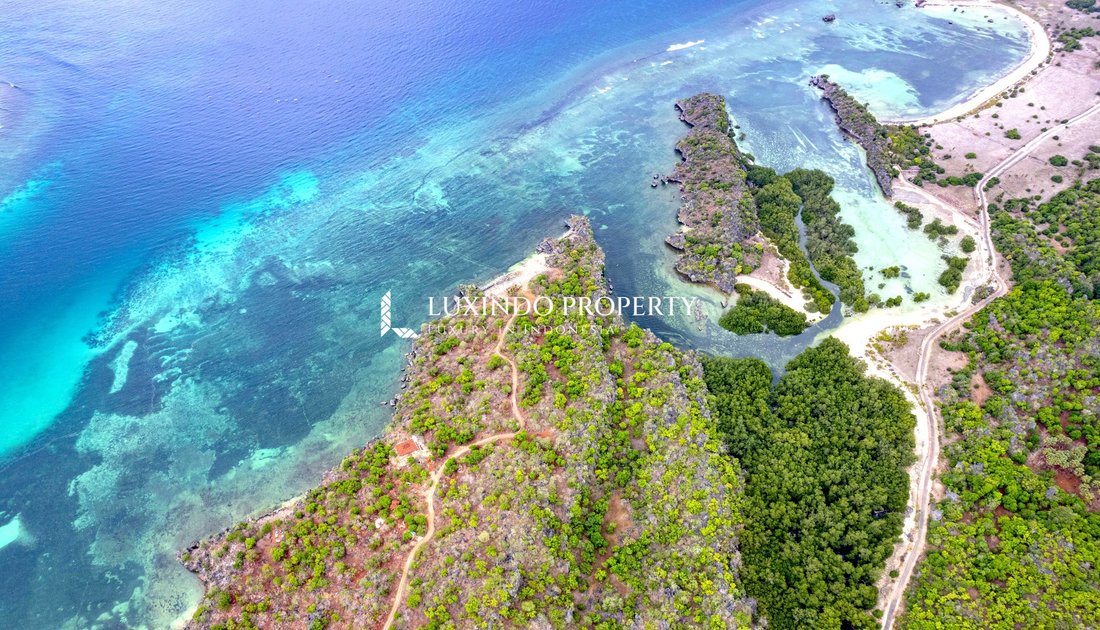 Land in pantai oeseli, East Nusa Tenggara, Indonesia 2 - 16635392