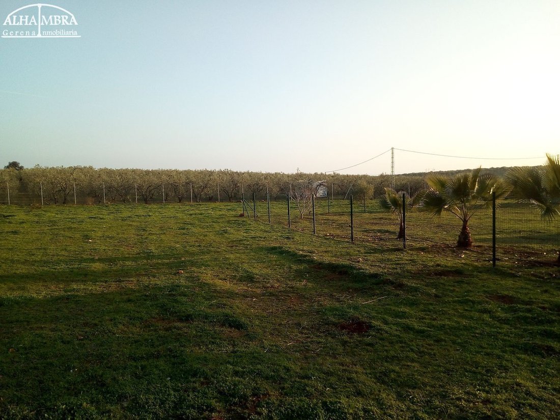 Country House in Aznalcollar, Andalusia, Spain 1 - 16460522