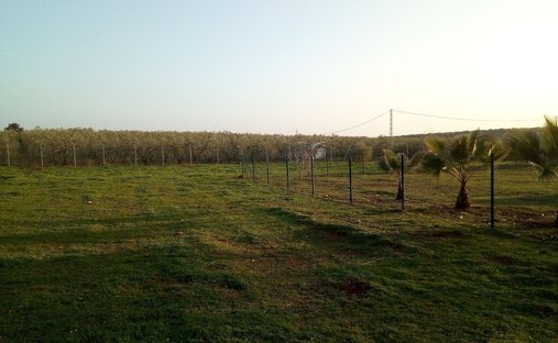 Country House in Aznalcollar, Andalusia, Spain 1