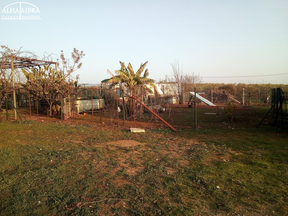 Country House in Aznalcollar, Andalusia, Spain 3 - 16460522