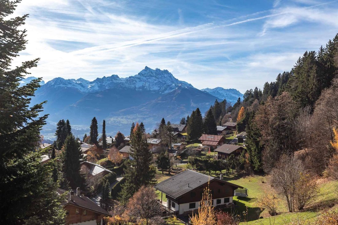 Chalet in Ollon, Waadt, Schweiz 4 - 16649134