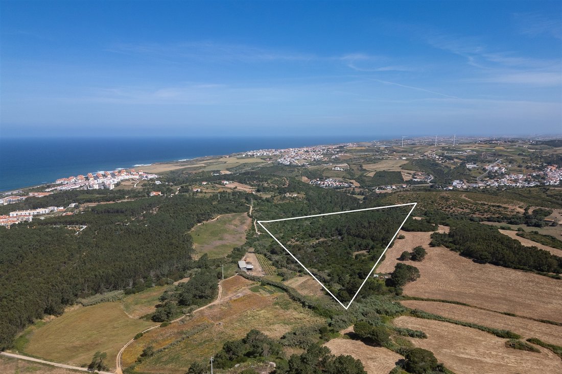 Land in Mafra, Lisbon, Portugal 1 - 14320082