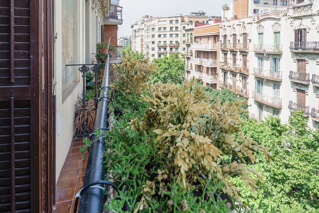 Apartment in Eixample, Barcelona, Spain 5 - 16652194