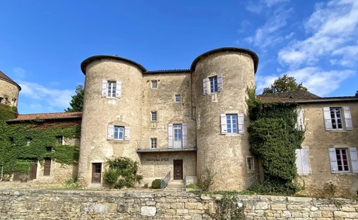 Castle for Sale in Igé, Bourgogne-Franche-Comté, France - 3