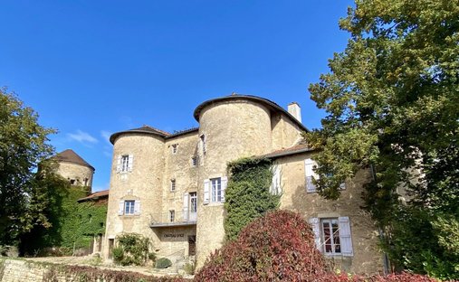 Castle for Sale in Igé, Bourgogne-Franche-Comté, France