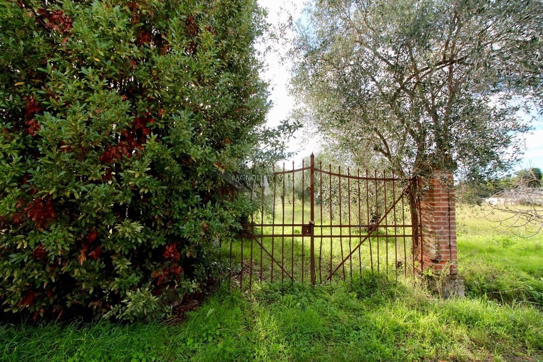 Country House in Camaiore, Tuscany, Italy 5 - 16651241