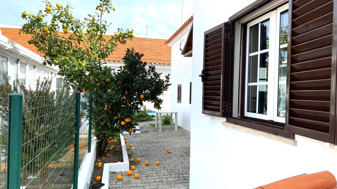 Villa in Comporta, Setubal, Portugal 5 - 16649666