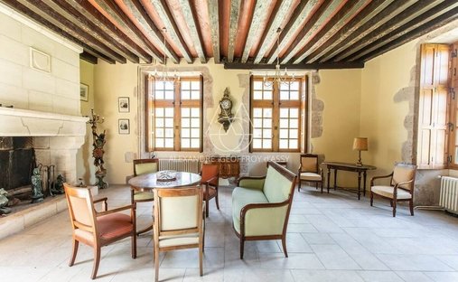 Spacious Property With Separate Guest Lodgings In Wooded Park Of 19 Acres, 15 Km From Blois.