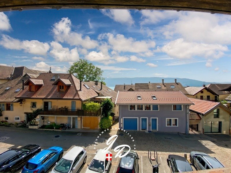 Apartment in Veyrier-du-Lac, Auvergne-Rhône-Alpes, France 1 - 15916084