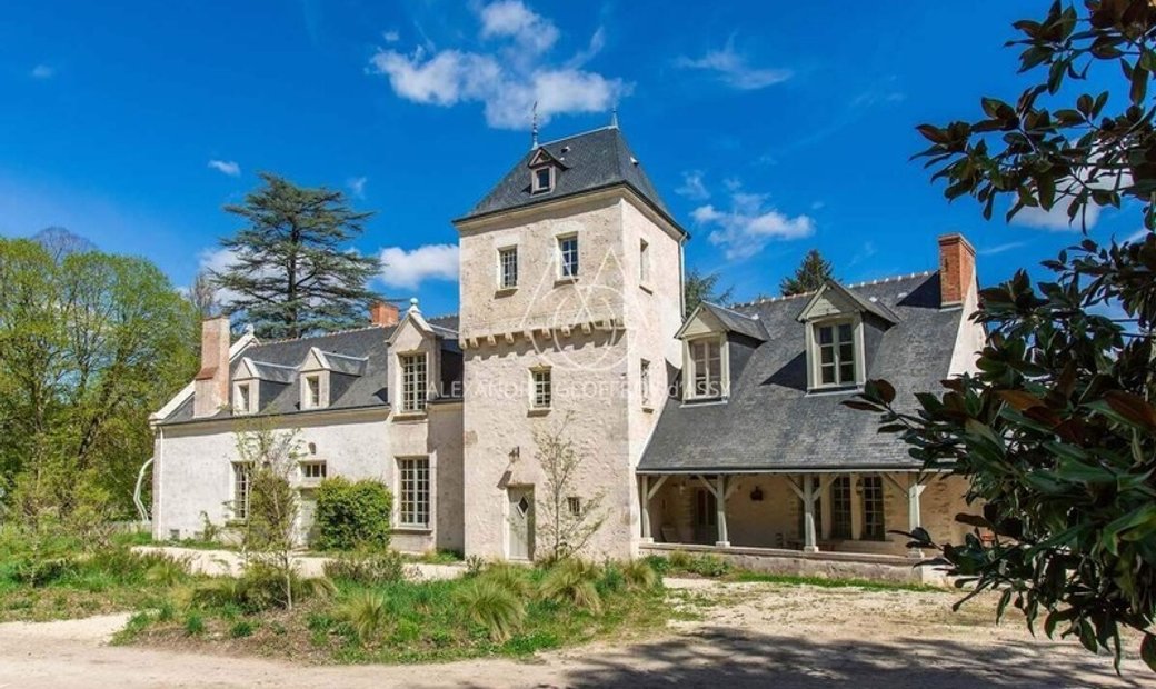 Superbly Restored 14th Century Castle, 10 Minutes From Blois