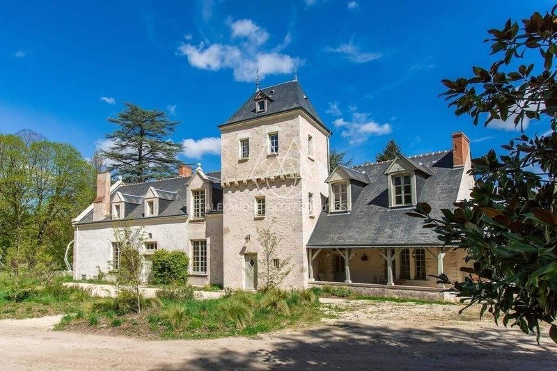 Castle in Centre Ville, Blois, France 1 - 16649233