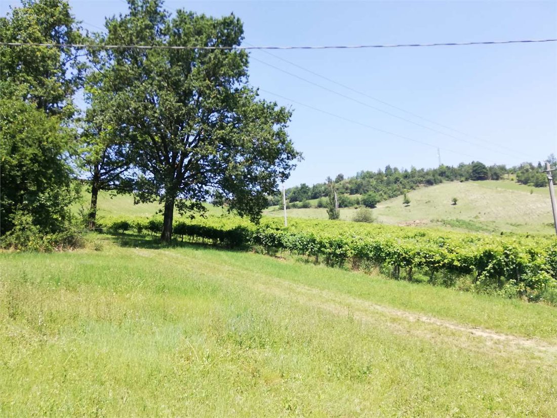 Land in Castelvetro di Modena, Emilia-Romagna, Italy 3 - 16651020