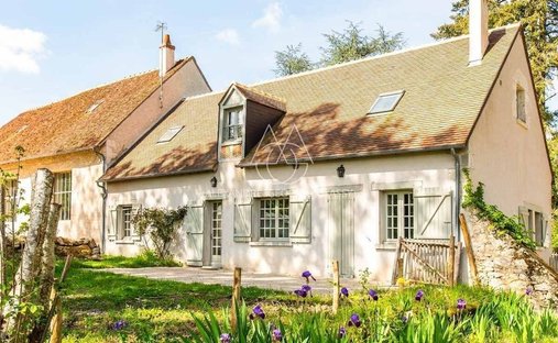 Spacious Property With Separate Guest Lodgings In Wooded Park Of 19 Acres, 15 Km From Blois.