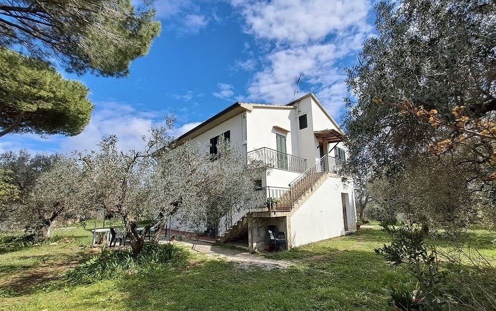 Estate in Suvereto, Tuscany, Italy 5 - 16651077