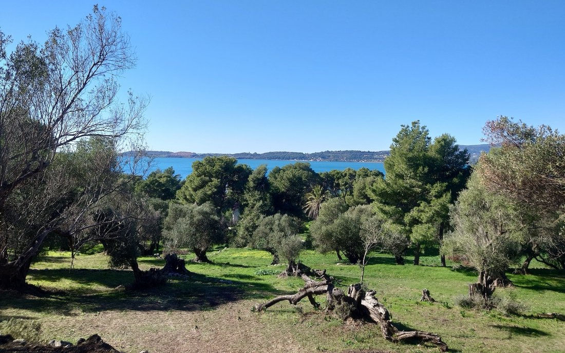 Terrain à Argostoli, Peloponnese, Western Greece and the Ionian, Grèce 3 - 16654991