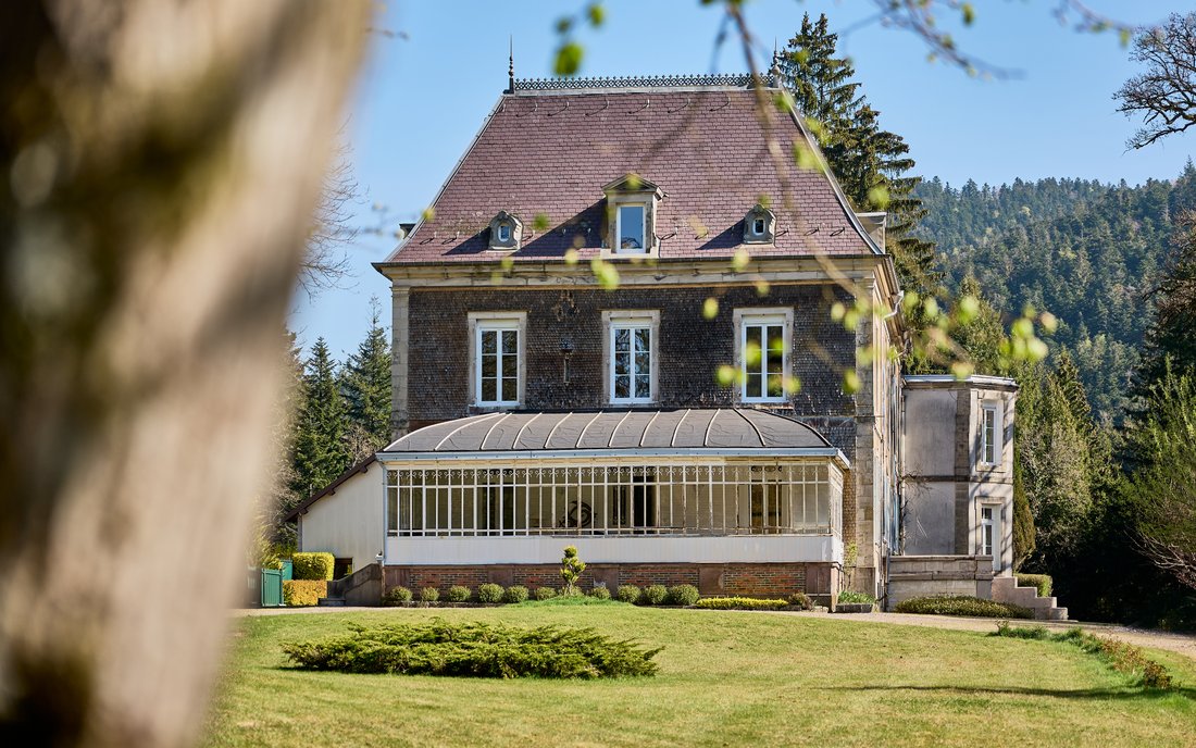 Castle in Remiremont, Grand Est, France 1 - 16369752