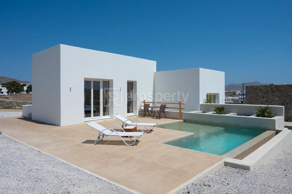 Estate in Ano Mera Community, Aegean, Greece 2 - 16655089