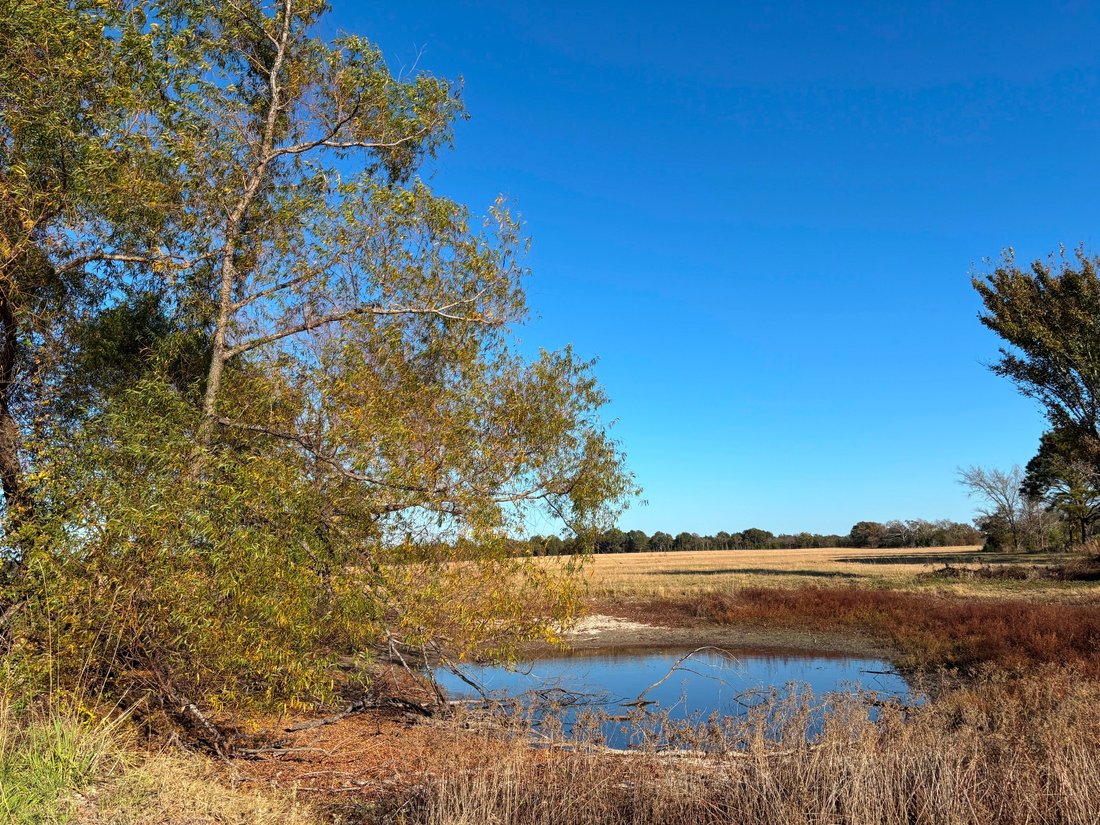 Land in Ben Wheeler, Texas, United States 1 - 16654176