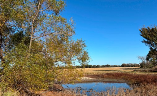 Land in Ben Wheeler, Texas, United States 1