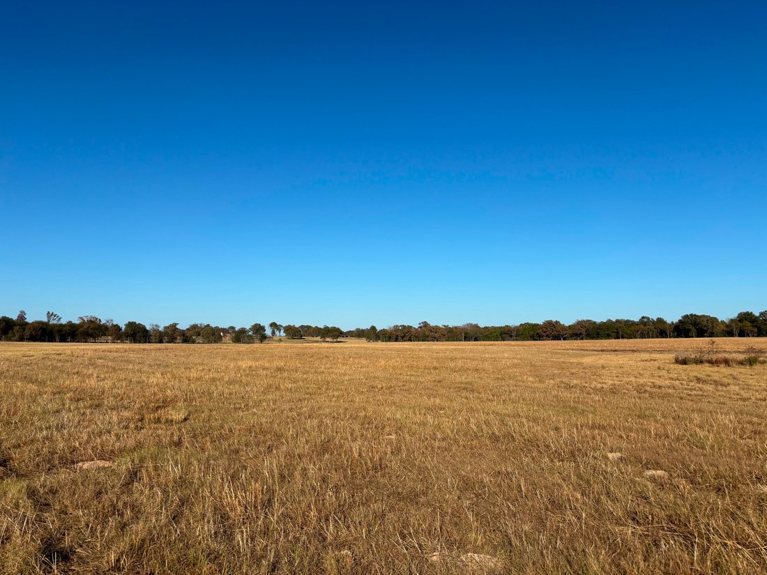 Land in Ben Wheeler, Texas, United States 2 - 16654176